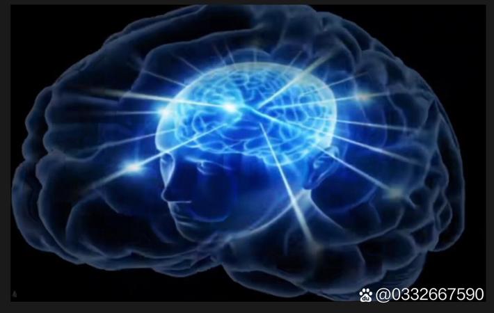最新黑料 - 某男演员被曝在剧组耍大牌，助理爆料其一天换三个造型师